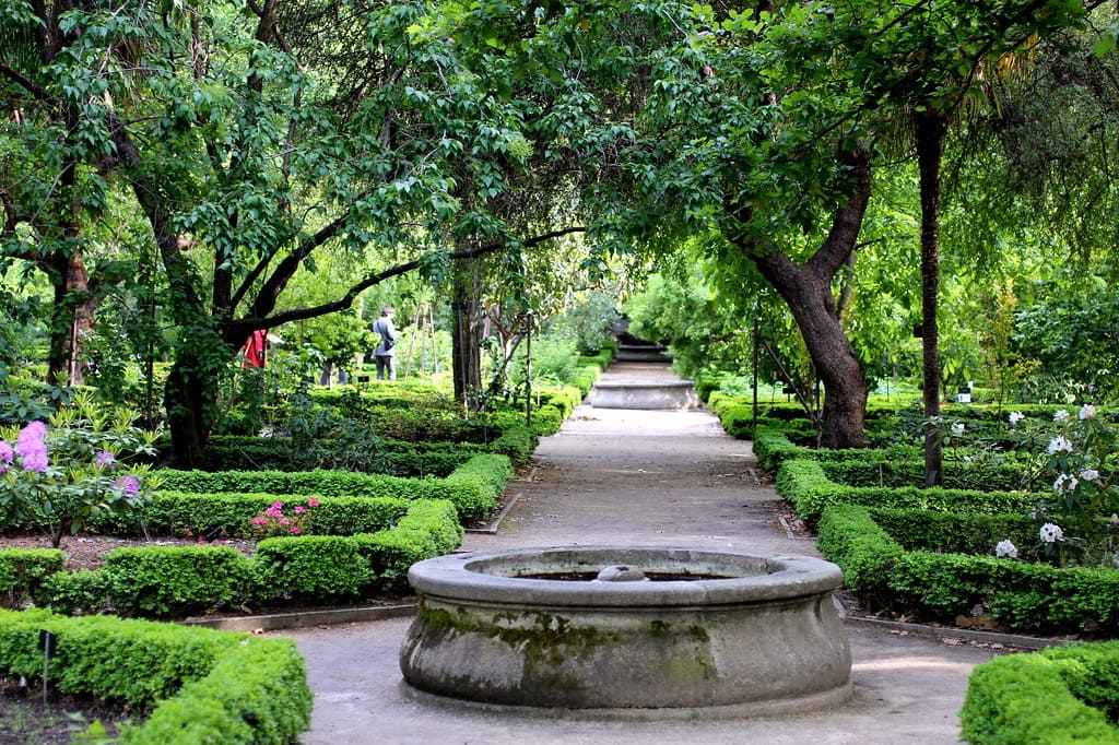 jardin botánico madrid